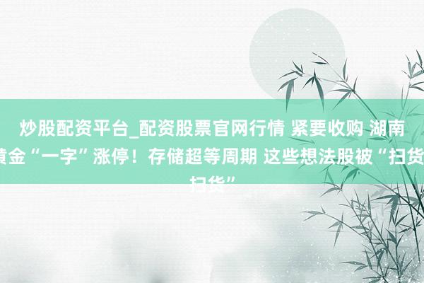 炒股配资平台_配资股票官网行情 紧要收购 湖南黄金“一字”涨停！存储超等周期 这些想法股被“扫货”